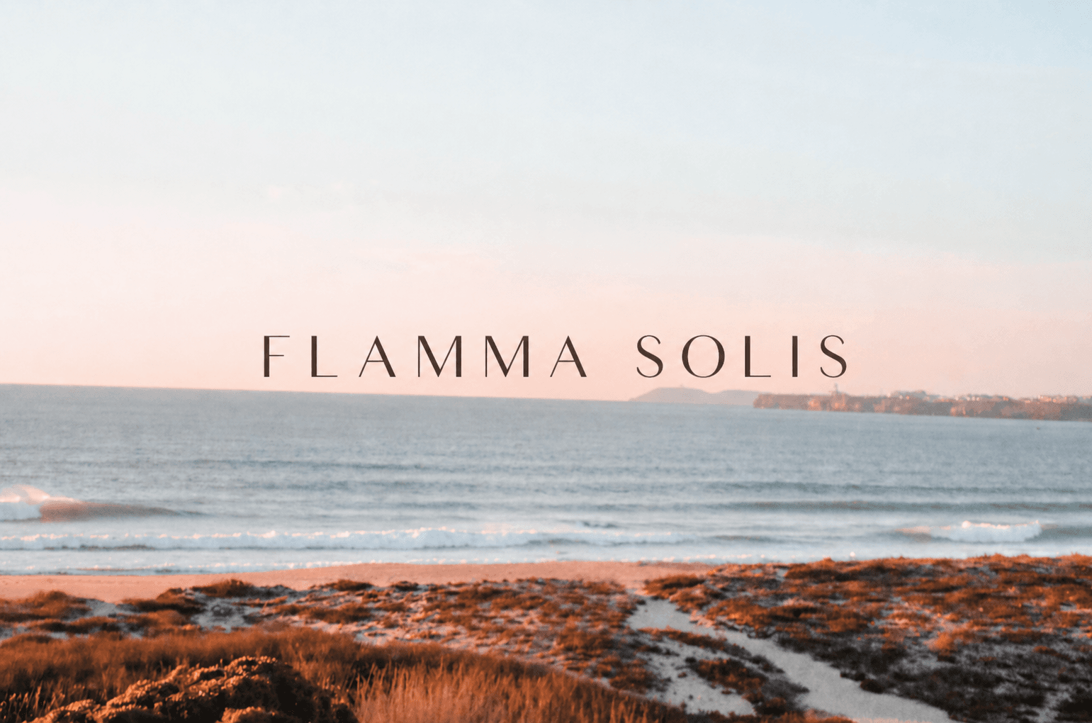 Flamma Solis logo